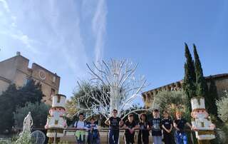 Stage Toussaint - Salon-de-Provence